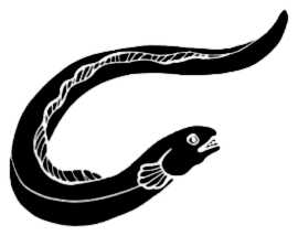 La symbolique de l'anguille.