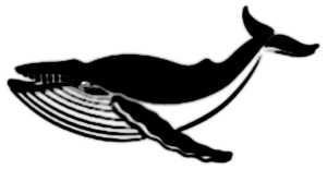 La symbolique de la baleine.