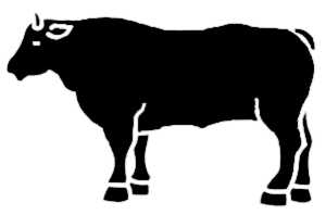 La symbolique du bœuf.