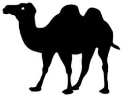 La symbolique du chameau.