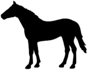 La symbolique du cheval.