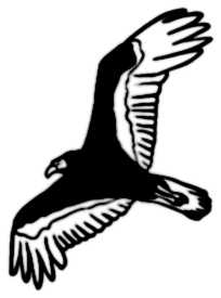 La symbolique du faucon.