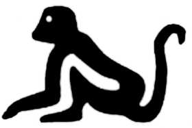 La symbolique du singe.